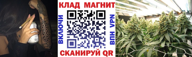Купить закладку Бошки Шишки  Cocaine  Амфетамин  Меф мяу мяу  Гашиш  А ПВП  Дедовск