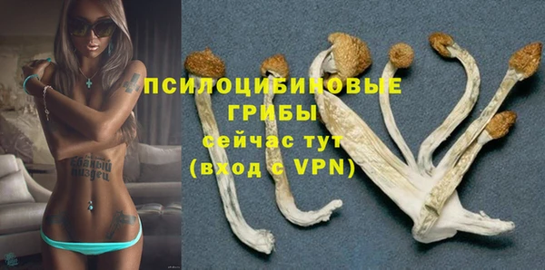 jwh Сосновка